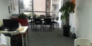 上海櫻本投資咨詢 專業服務，賦能企業戰略與資本決策